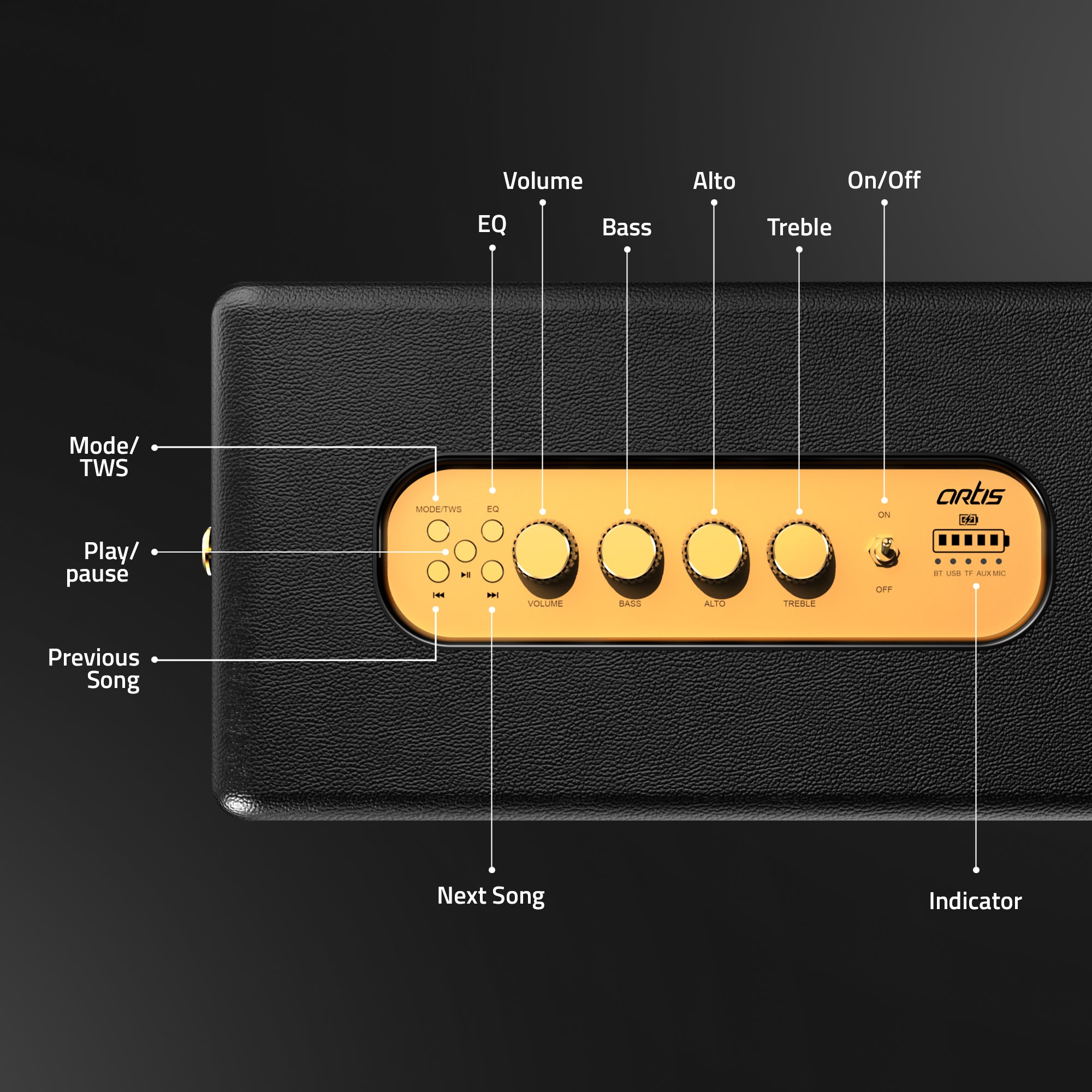 SoundHub 200 100W Bluetooth Speaker