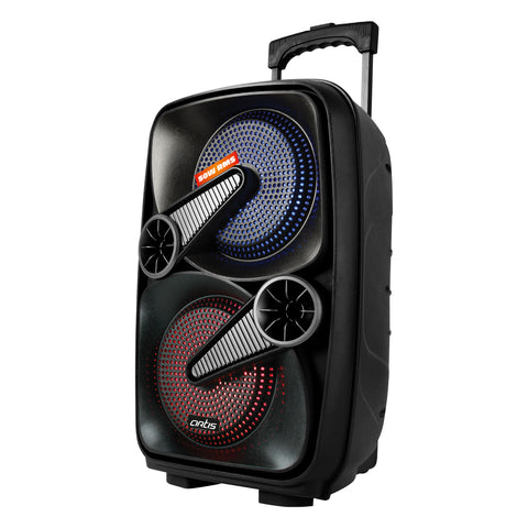 BT909 50W Wireless Bluetooth Party Speaker